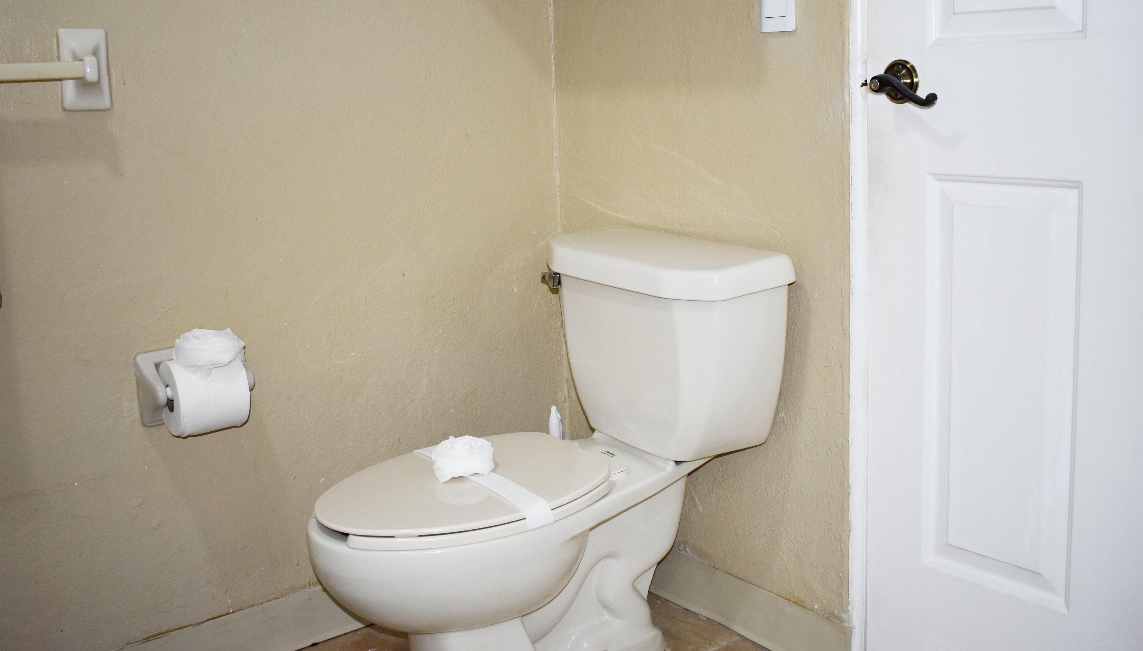 A standard white toilet with a closed lid, a toilet paper holder on the wall, and a door with a brass handle.