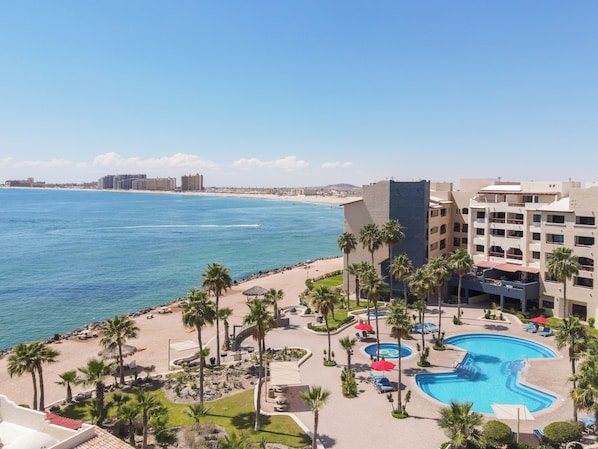 Enjoy ocean views from the resort's pool surrounded by palm trees and lounge chairs.