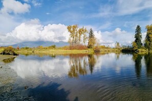 Exterior - Cedar Manor Bed and Breakfast (Pitt Meadows)