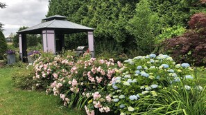 Tuin