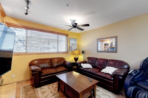 TV, fireplace, DVD player