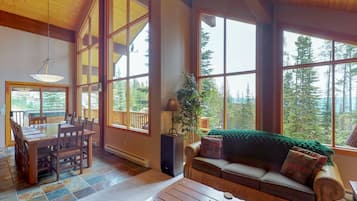 Télévision, cheminée, lecteur de DVD, livres