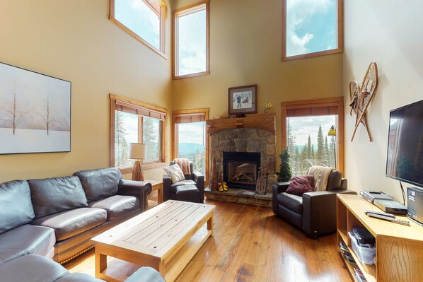 TV, fireplace, DVD player, books