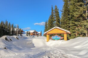 Terrain de l’hébergement 