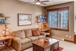 TV, fireplace, DVD player