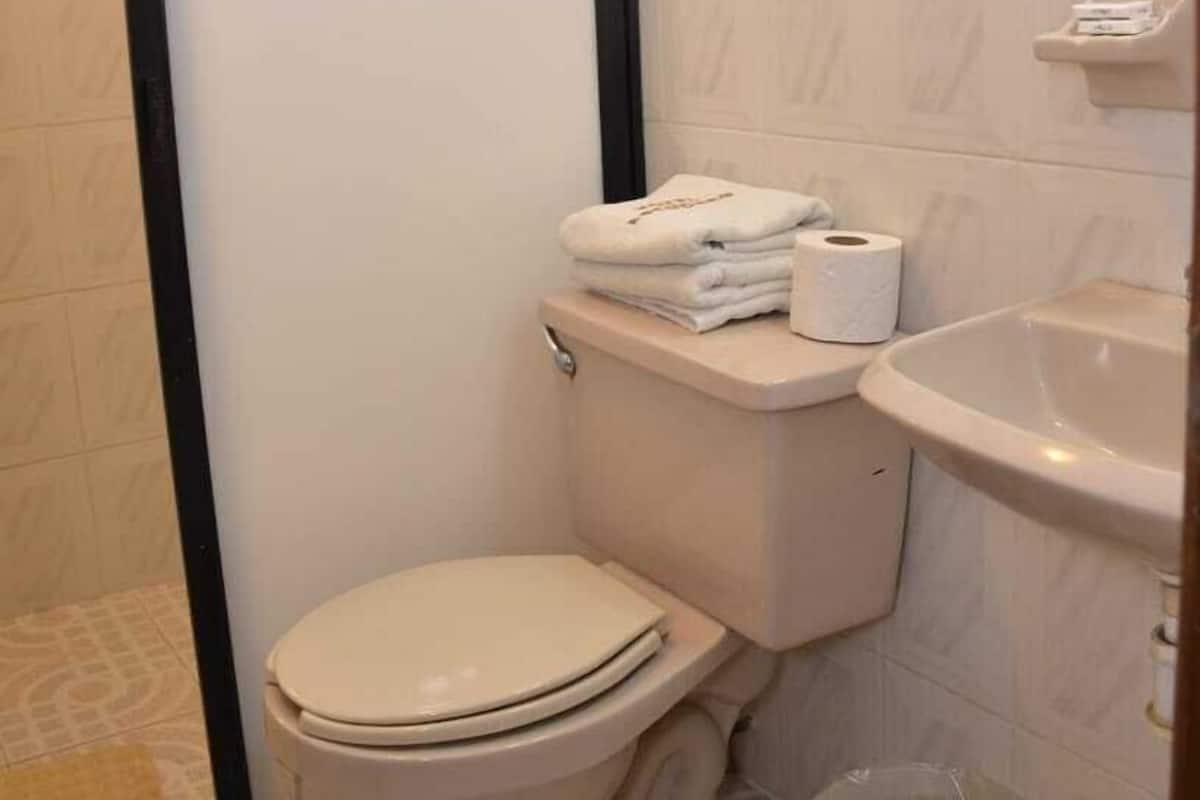 Regadera, toallas, jabón, shampoo