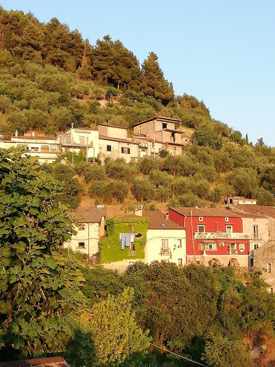 Villa Santa Elena rodeada de vegetación