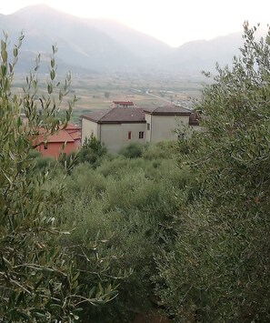 Property grounds - Villa Santa Elena surrounded by greenery (Sala Consilina)