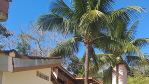 Un patio con una palmera, un pequeño jardín y un edificio con suelo de baldosas y pared de ladrillo.