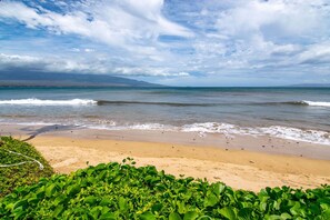 A beach with waves, a clear sky, and distant mountains.