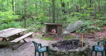 Garden of Eden Cabins