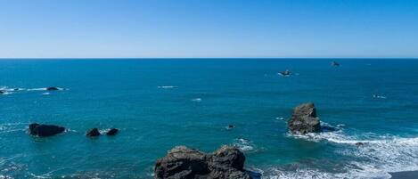 Accommodatie ligt op het strand