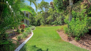 Un jardin bien entretenu, avec une pelouse, un chemin et diverses plantes.
