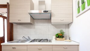 Una cocina con un lavamanos de acero inoxidable, estufa a gas, armarios de madera y una pequeña planta en maceta sobre la encimera.