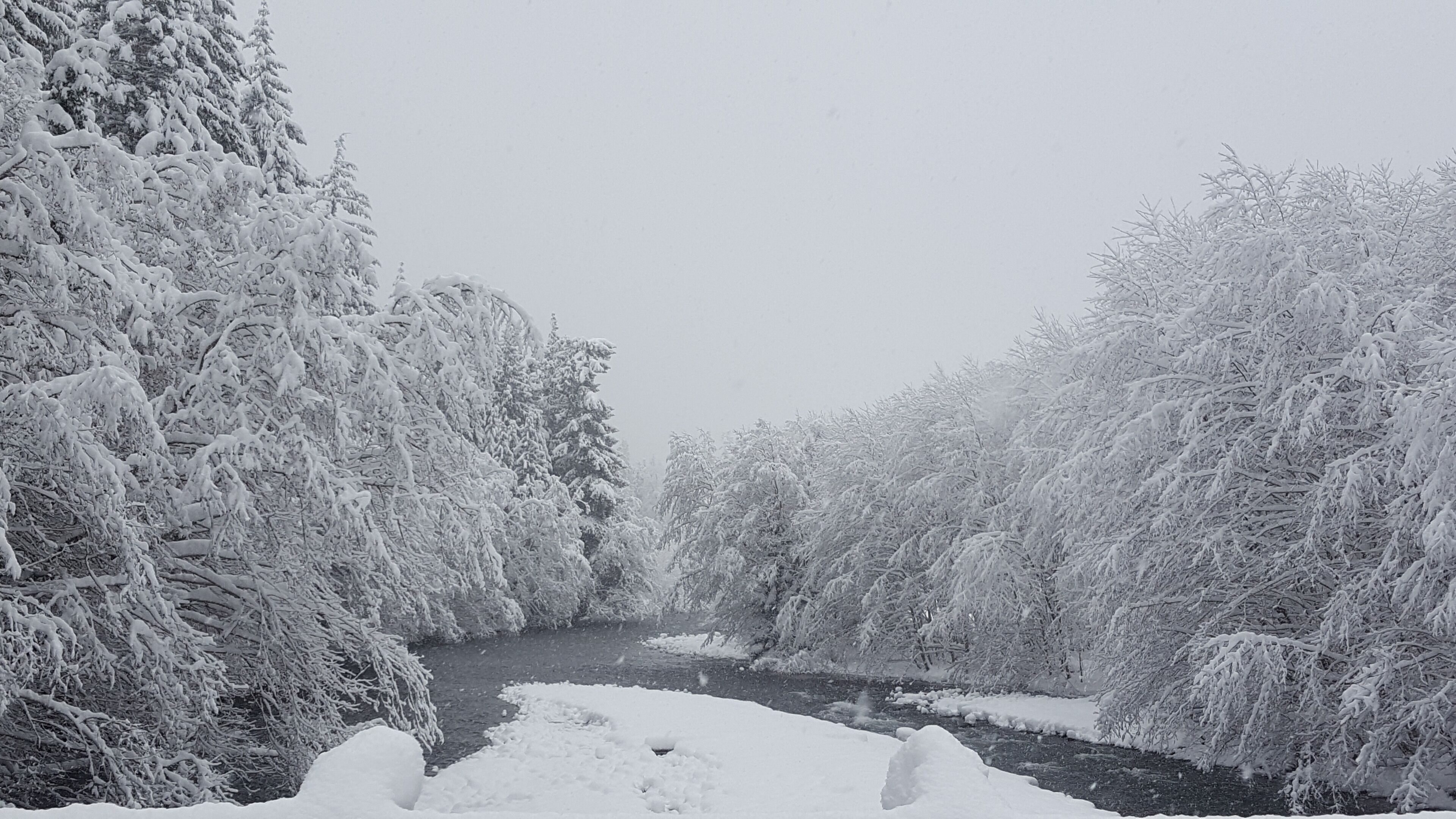 A snow-covered landscape with a river, dense trees, and a clear sky.