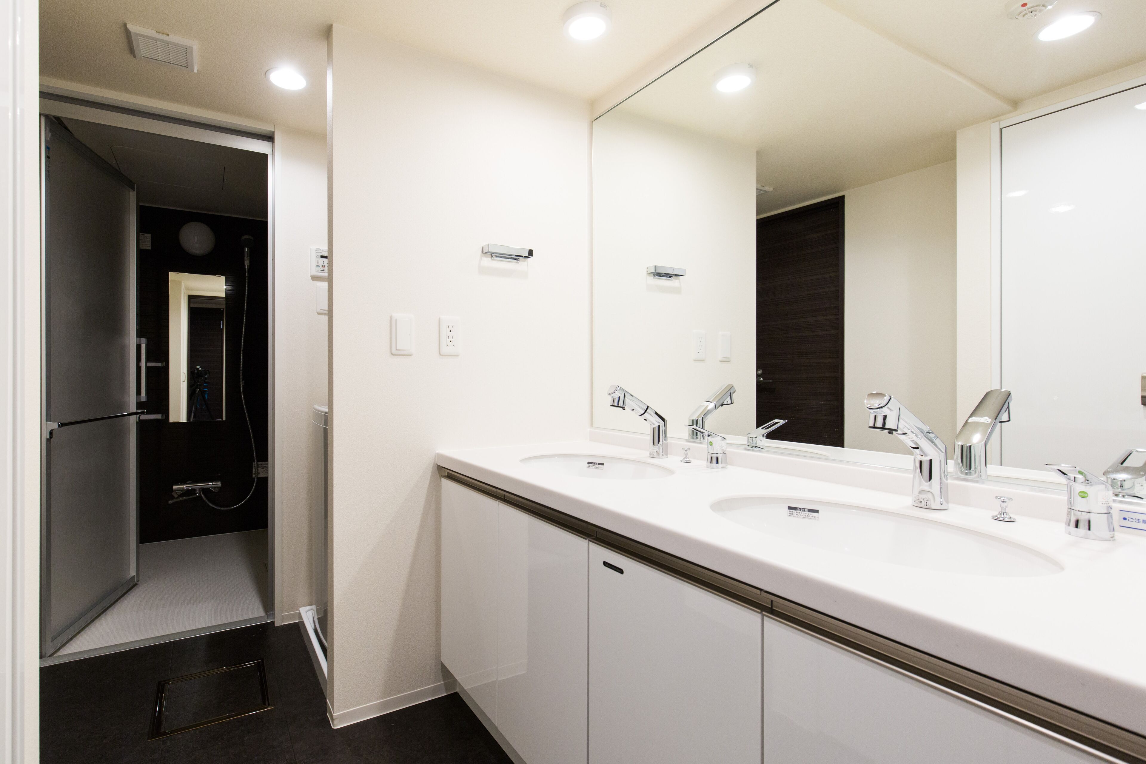 deluxe apartment | bathroom sink