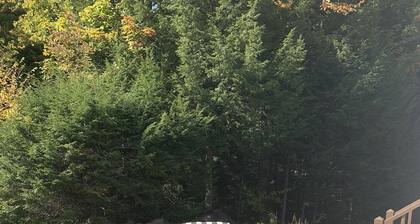 Cozy Upstate Adirondack Cottage Getaway