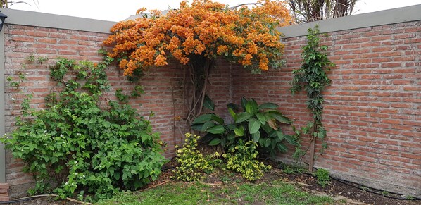 Property grounds - Beautiful and comfortable house with fireplace, barbecue, gallery, patio and garage (salta)