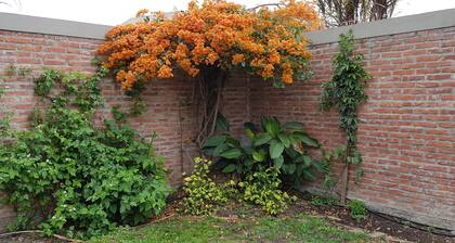 Beautiful and comfortable house with fireplace, barbecue, gallery, patio and garage