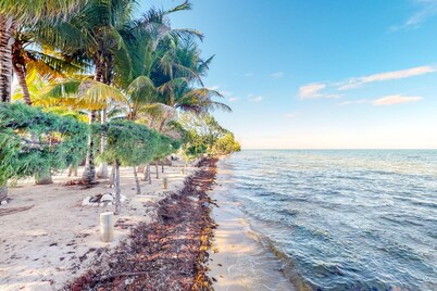 Beachfront house w/ private pool, kayaks, strong WiFi, partial AC & ocean views