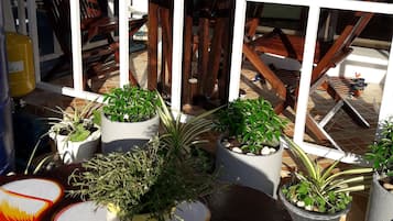 Familie vierpersoonskamer | Uitzicht op de tuin