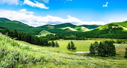 Wild nature, Silent and peaceful, Fresh air