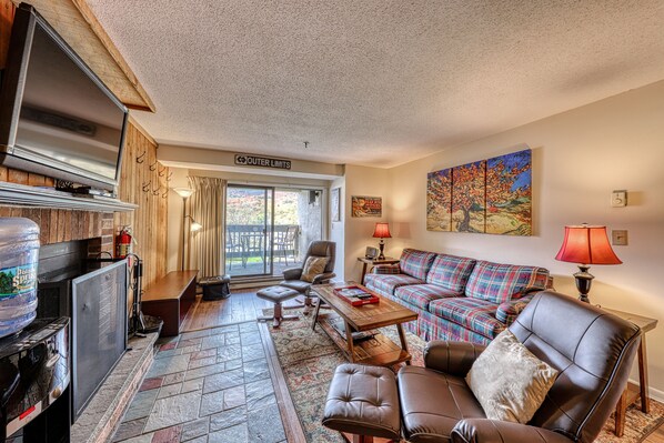 TV, fireplace, DVD player, books