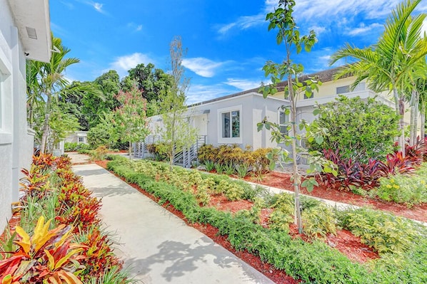A residential area with a pathway lined with colorful plants, a white house, and a clear blue sky.