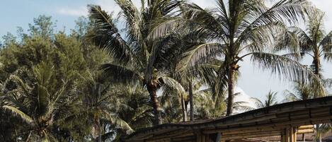 Piscine extérieure, chaises longues