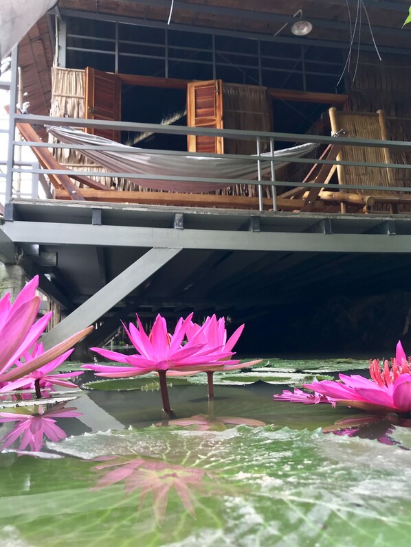 Escritorio y wifi gratis