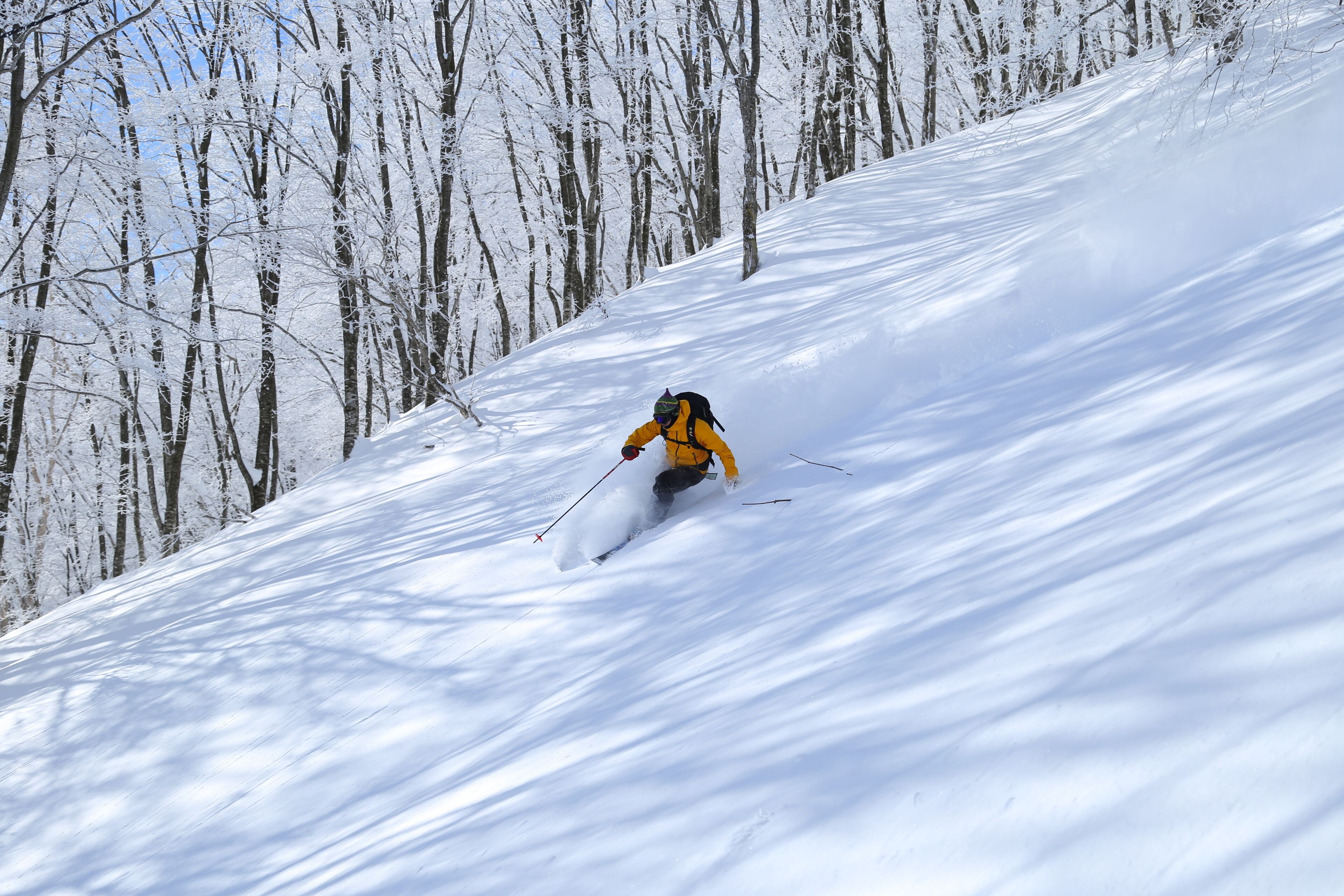 A person skiing down a snowy slope with trees in the background.