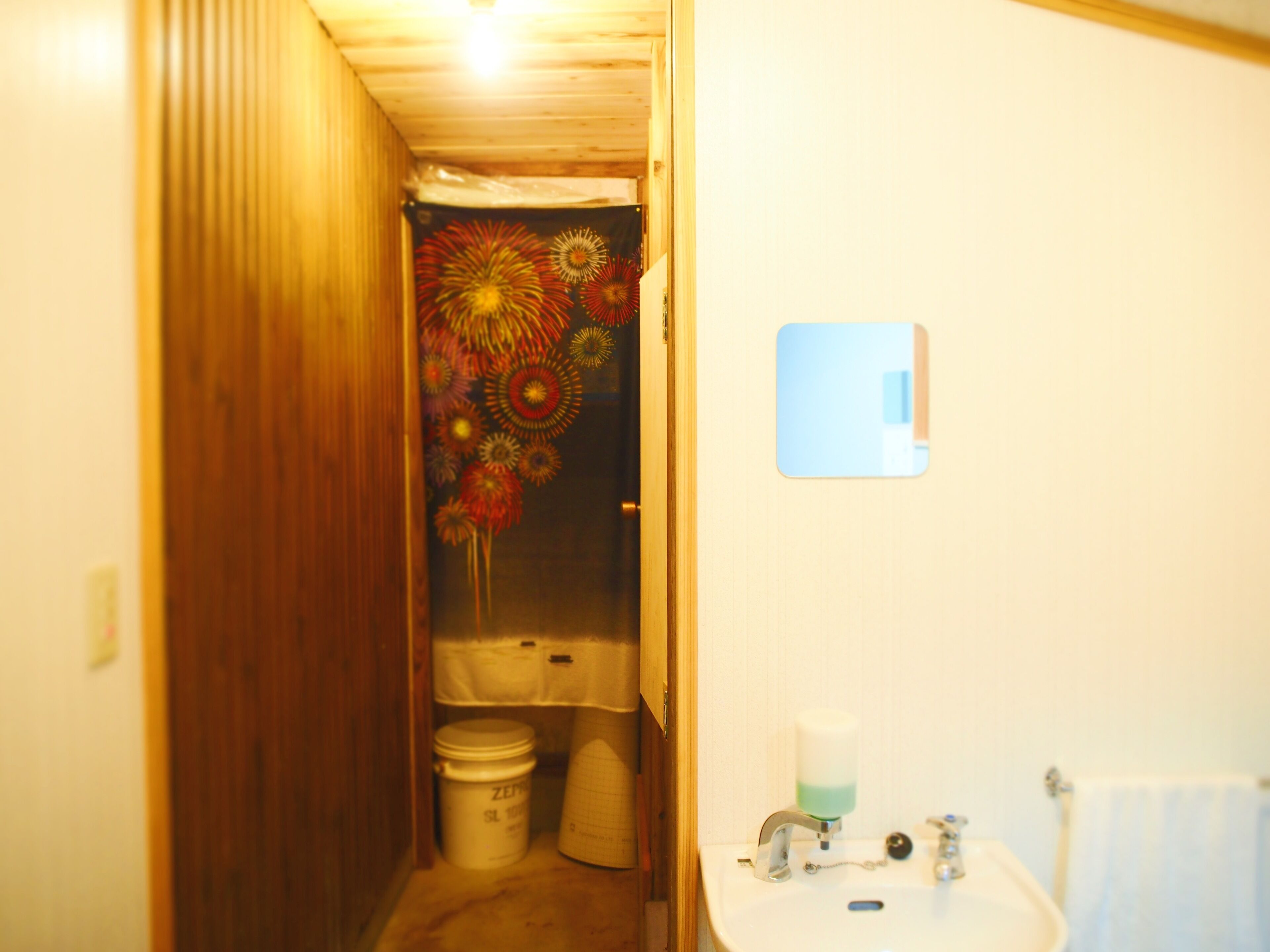 Un pasillo estrecho con una puerta de madera que da al baño. El baño tiene un lavamanos blanco, un espejo y un dispensador de jabón. Hay dos cubos blancos en la zona de la ducha.