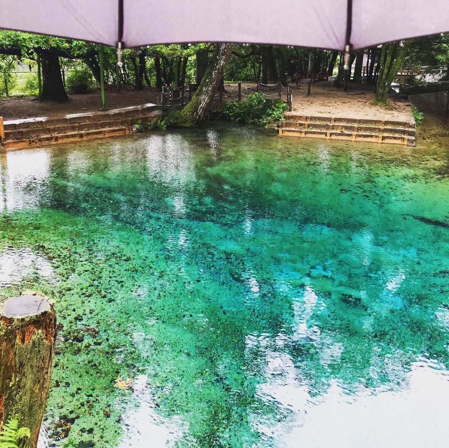 A clear water body with steps leading into it, surrounded by trees and a covered area.