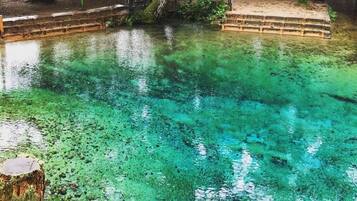 A clear water body with steps leading into it, surrounded by trees and a covered area.