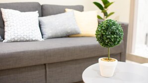 A grey sofa with patterned pillows and a small potted plant on a white table.