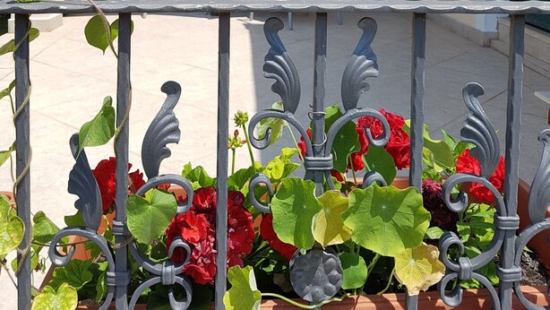 A covered outdoor seating area with a table and chairs, surrounded by potted plants and a decorative metal fence. - Apartments Aurora (Zadar)