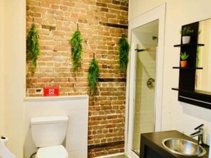 Combined shower/tub, free toiletries, hair dryer, towels