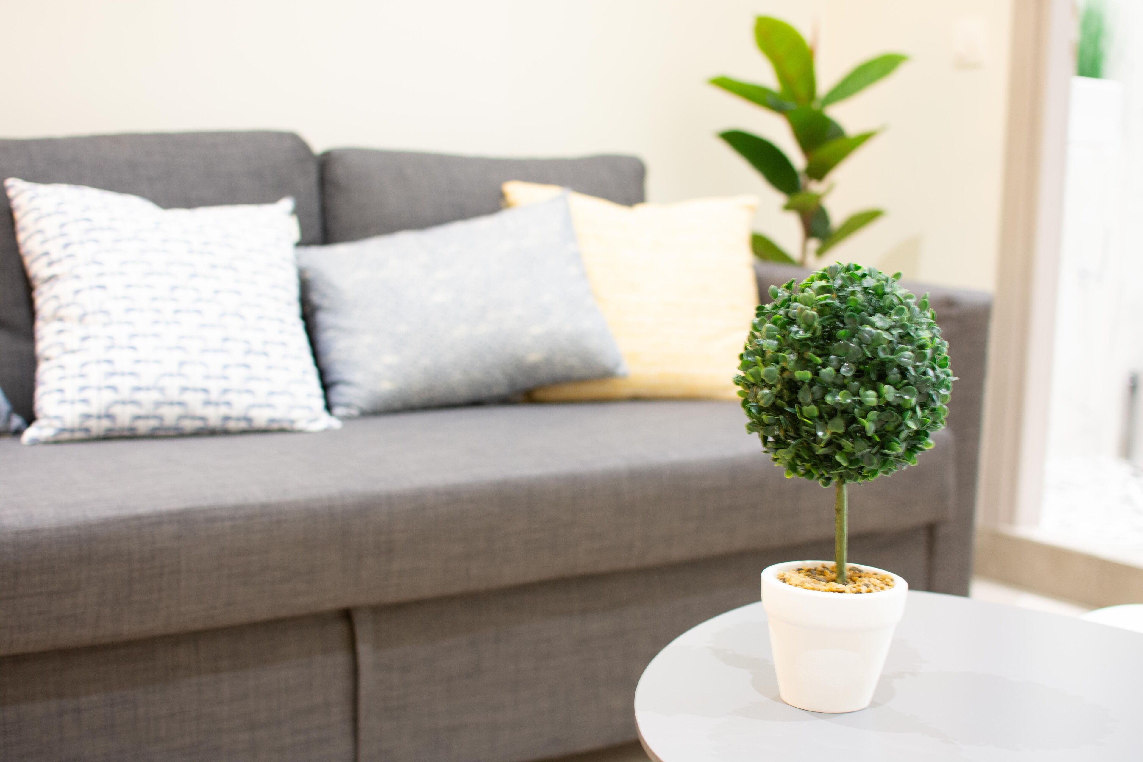 A grey sofa with patterned pillows and a small potted plant on a white table.