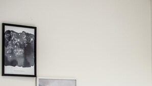 Tres cuadros en una pared: dos con el motivo 'Fallen Florals' y uno de un camino con montañas.