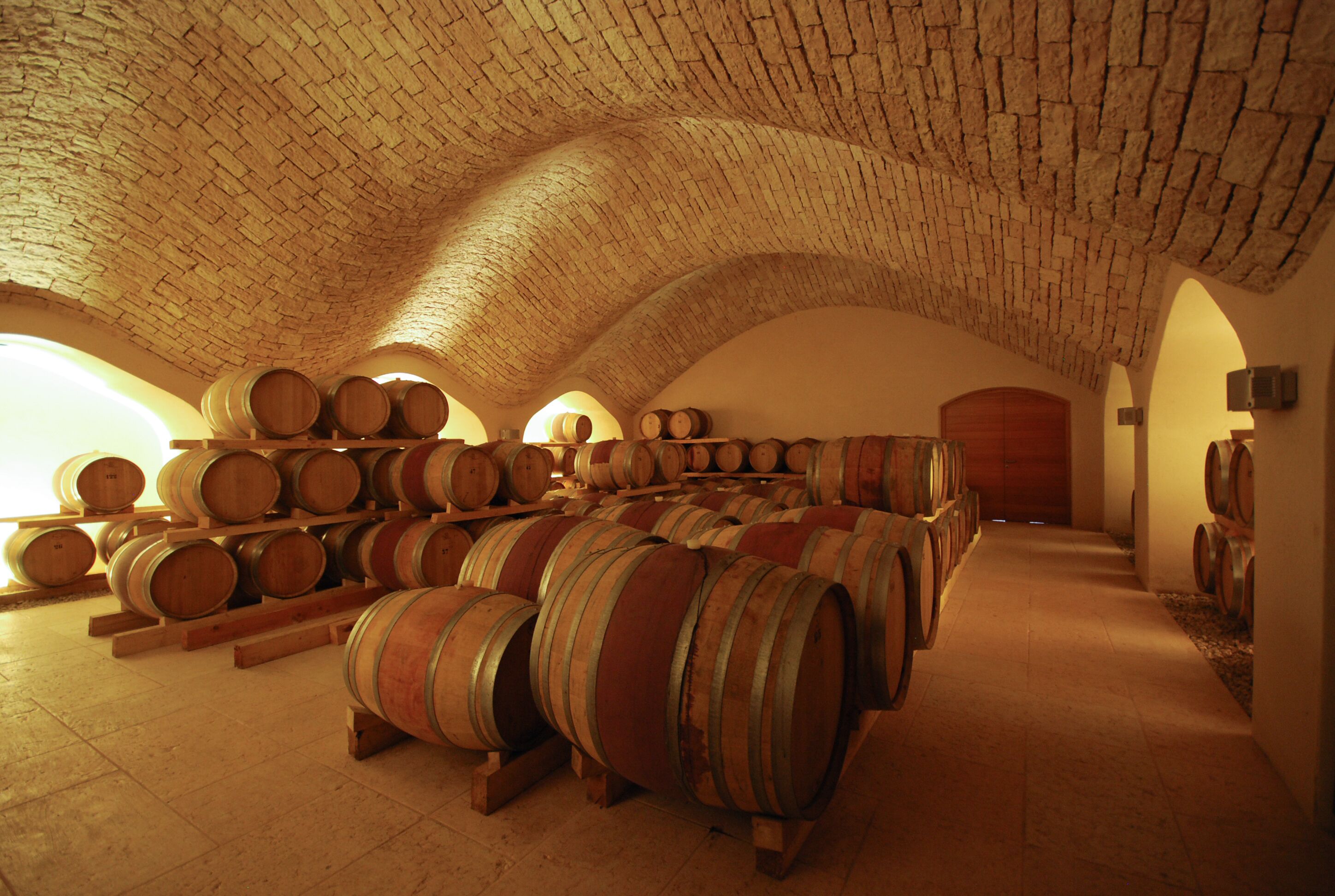 Une cave à vin où des barriques en bois sont disposées en rangées sous une voûte.