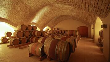 Une cave à vin où des barriques en bois sont disposées en rangées sous une voûte.