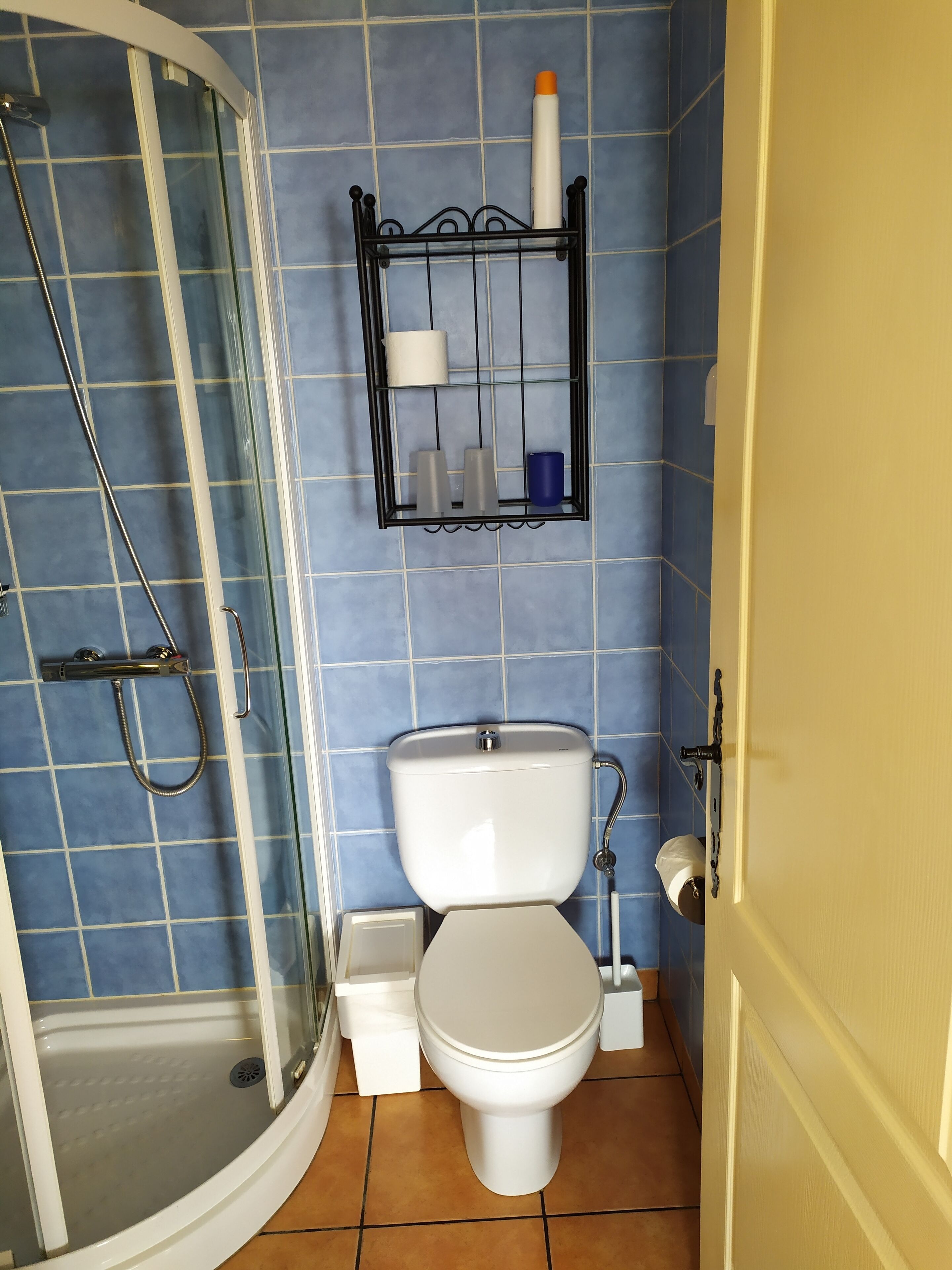 A bathroom with a glass-enclosed shower, a toilet, and a shelf with toiletries.