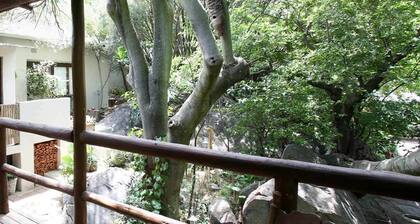 Little Forest Guest House