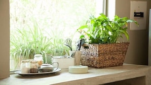 Un comptoir de cuisine sur lequel se trouve un panier tressé contenant des plantes vertes, un service à thé et des bocaux.