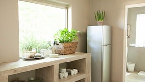 Une cuisine avec un comptoir en bois, un réfrigérateur et une fenêtre ornée de plantes.
