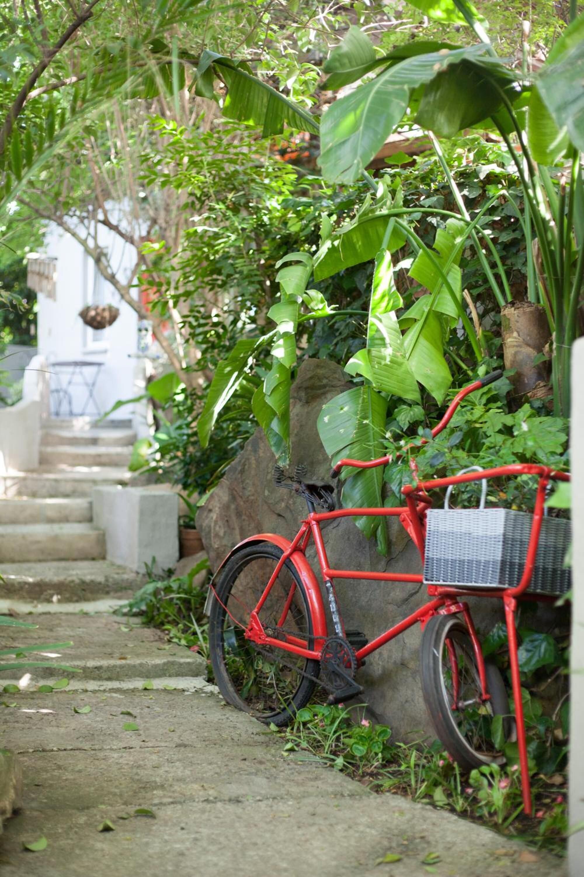 A red bicycle parked on a stone pathway surrounded by lush greenery.
