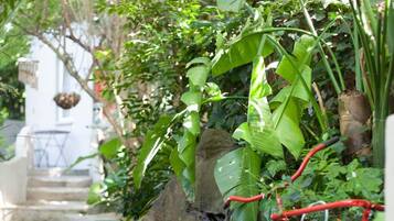 A red bicycle parked on a stone pathway surrounded by lush greenery.