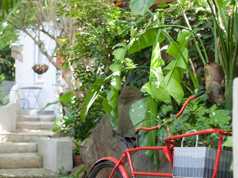 A red bicycle parked on a stone pathway surrounded by lush greenery.