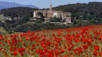 Un edificio histórico con una torre destacada, rodeado de vegetación exuberante y un campo de amapolas rojas.
