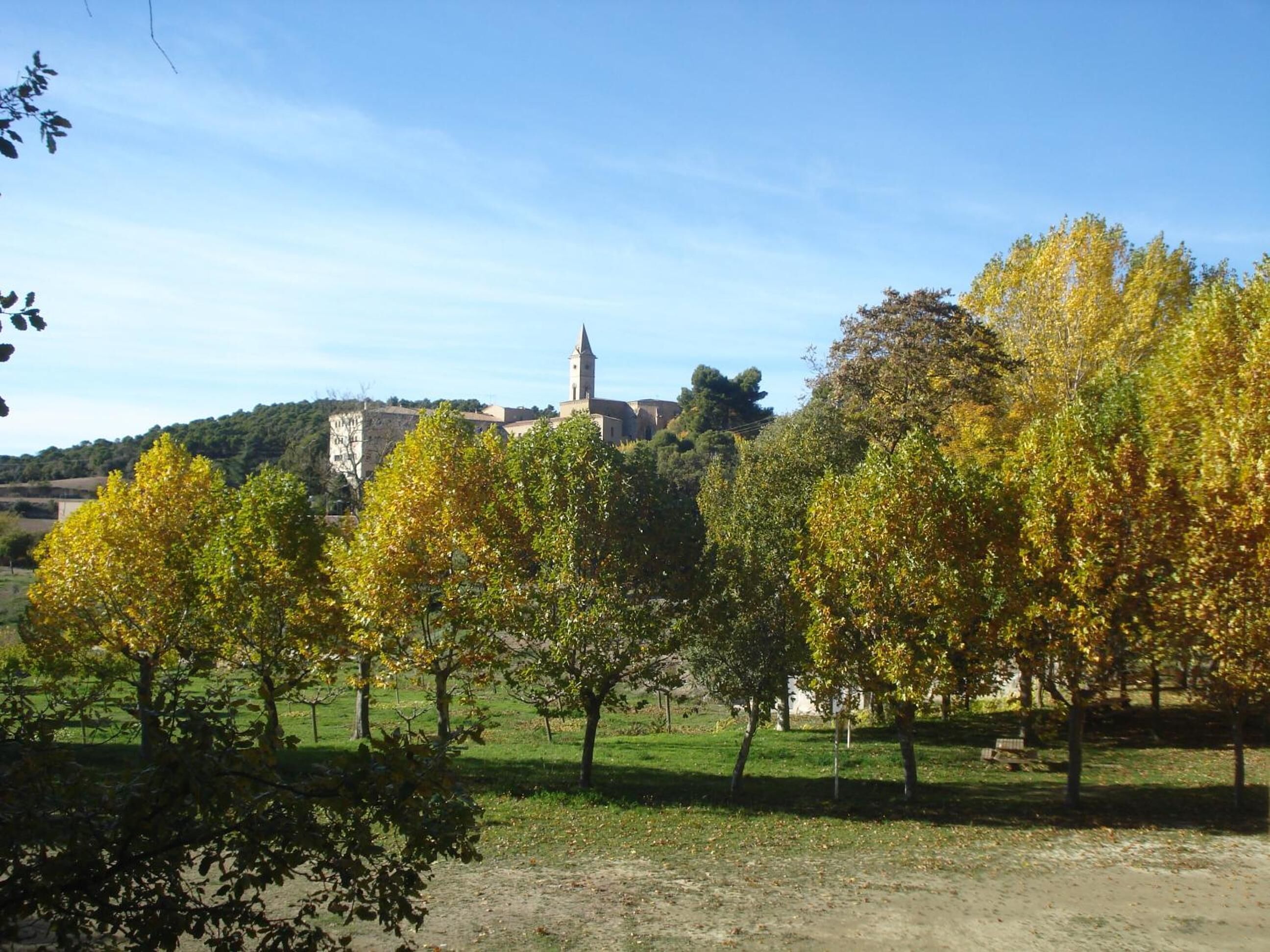 A rural landscape with a church and a hill in the background.